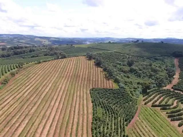 Fazenda venda em Região Geográfica Imediata de Juiz de Fora, Juiz de Fora