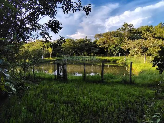 Fazenda venda em Região Imediata de Votuporanga, Nhandeara