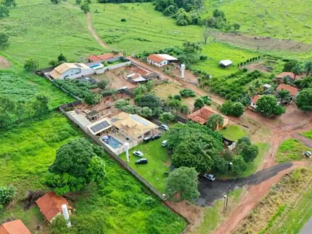 Fazenda venda em Região Imediata de Votuporanga, Nhandeara