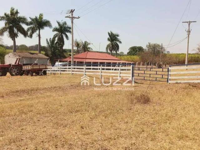 Fazenda venda em Região Imediata de Votuporanga, Nhandeara