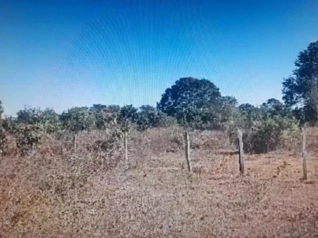 Fazenda venda em Região Geográfica Imediata de Uruaçu - Niquelândia, Niquelândia