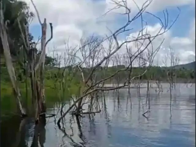 Fazenda venda em Região Geográfica Imediata de Uruaçu - Niquelândia, Niquelândia