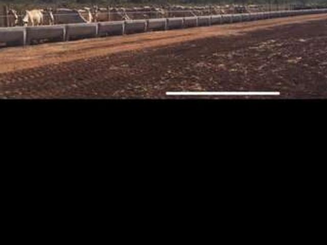 Fazenda venda em Região Geográfica Imediata de Uruaçu - Niquelândia, Niquelândia