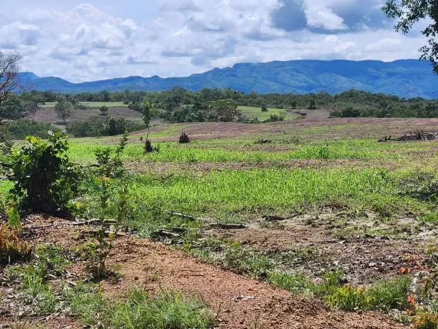Fazenda venda em Região Geográfica Imediata de Uruaçu - Niquelândia, Niquelândia