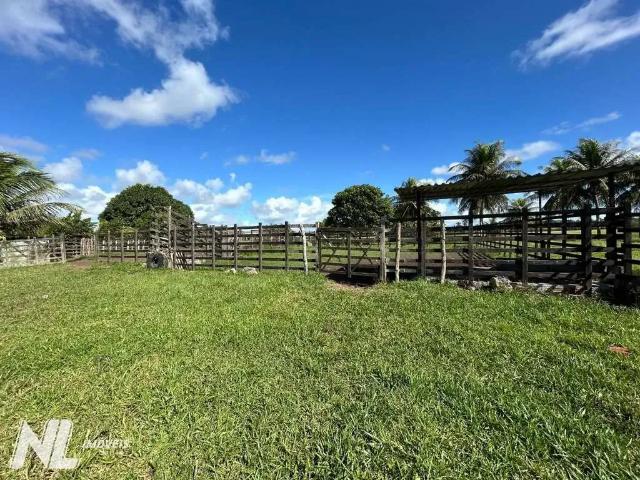 Fazenda venda em Região Geográfica Imediata de Natal, Nísia Floresta