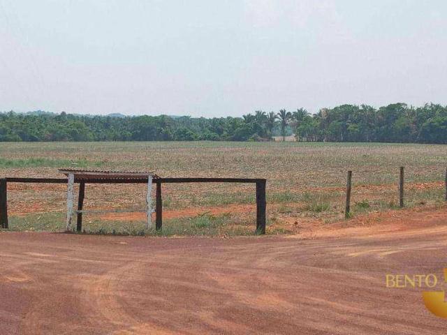 Fazenda venda em Bom Jardim, Nobres