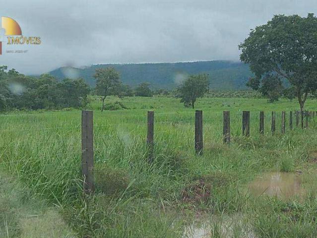 Fazenda venda em Bom Jardim, Nobres