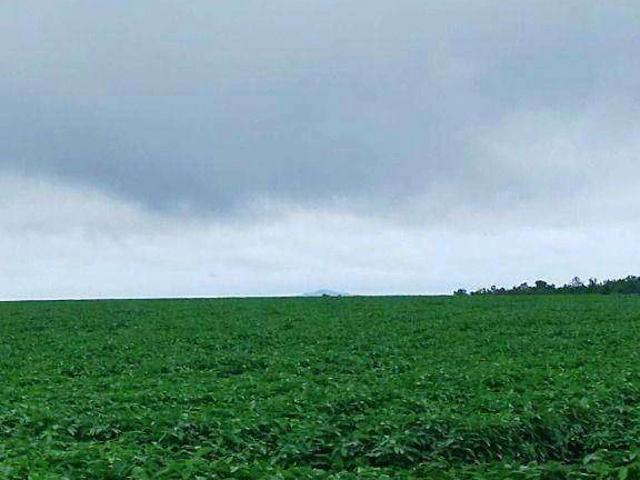 Fazenda venda em Bom Jardim, Nobres