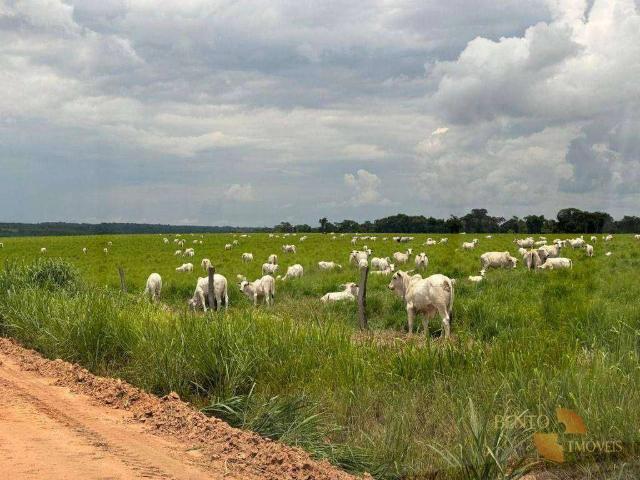 Fazenda venda em Nobres, Região Geográfica Intermediária de Cuiabá