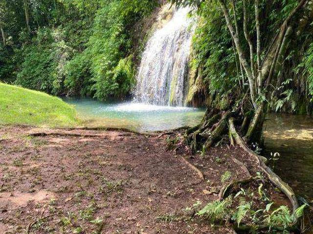 Fazenda venda em Nobres, Região Geográfica Intermediária de Cuiabá