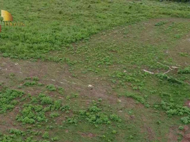 Fazenda venda em Nobres, Região Geográfica Intermediária de Cuiabá