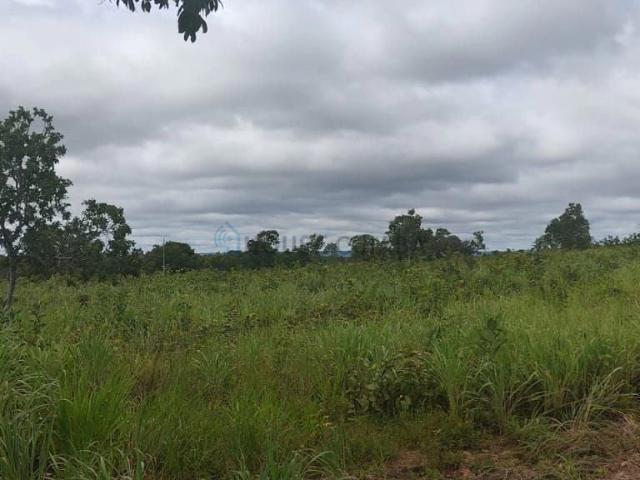 Fazenda venda em Nobres, Região Geográfica Intermediária de Cuiabá