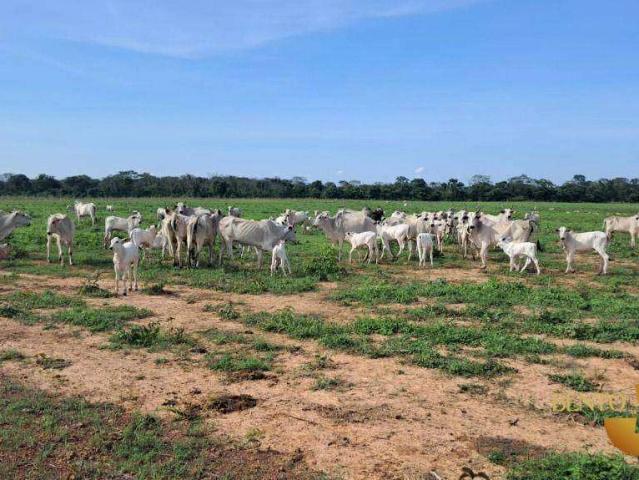 Fazenda venda em Nobres, Região Geográfica Intermediária de Cuiabá