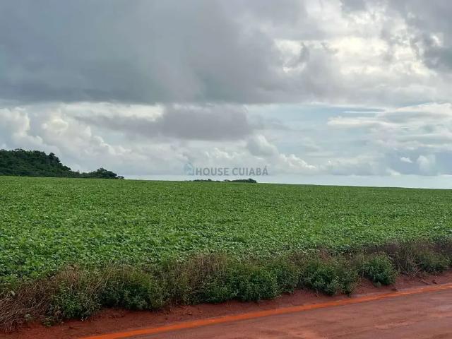 Fazenda venda em Região Geográfica Imediata de Cuiabá, Nobres