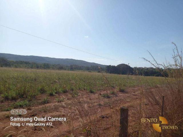 Fazenda venda em Nobres, Região Geográfica Intermediária de Cuiabá