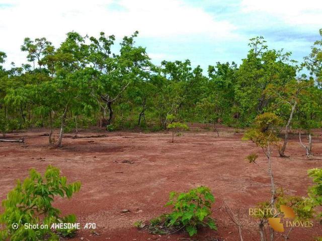 Fazenda venda em Nobres, Região Geográfica Intermediária de Cuiabá