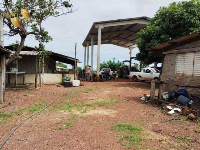 Fazenda venda em Nobres, Região Geográfica Intermediária de Cuiabá