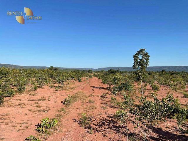 Fazenda venda em Nobres, Região Geográfica Intermediária de Cuiabá