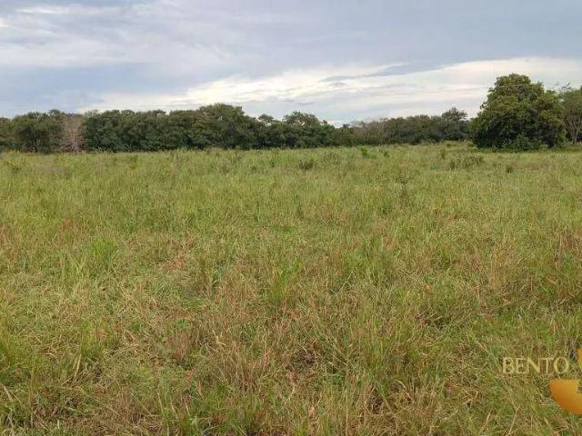 Fazenda venda em Região Geográfica Imediata de Diamantino, Nortelândia
