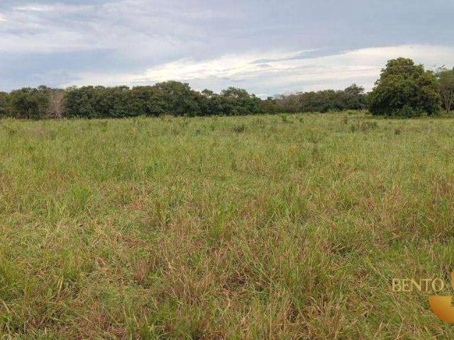 Fazenda venda em Nortelândia, Região Geográfica Intermediária de Cuiabá