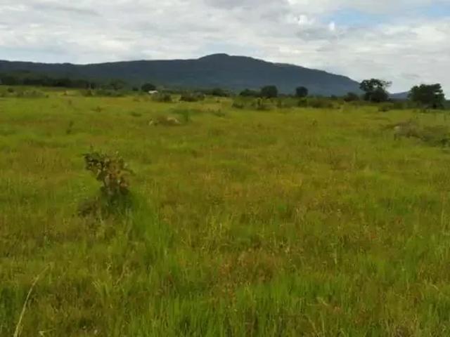 Fazenda venda em Região Geográfica Imediata de Cuiabá, Região Metropolitana do Vale do Rio Cuiabá