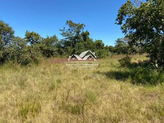 Fazenda venda em Região Geográfica Imediata de Cuiabá, Região Metropolitana do Vale do Rio Cuiabá
