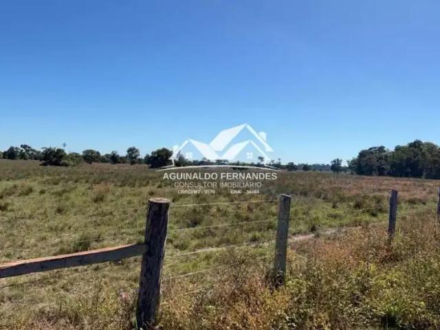 Fazenda venda em Região Geográfica Imediata de Cuiabá, Região Metropolitana do Vale do Rio Cuiabá