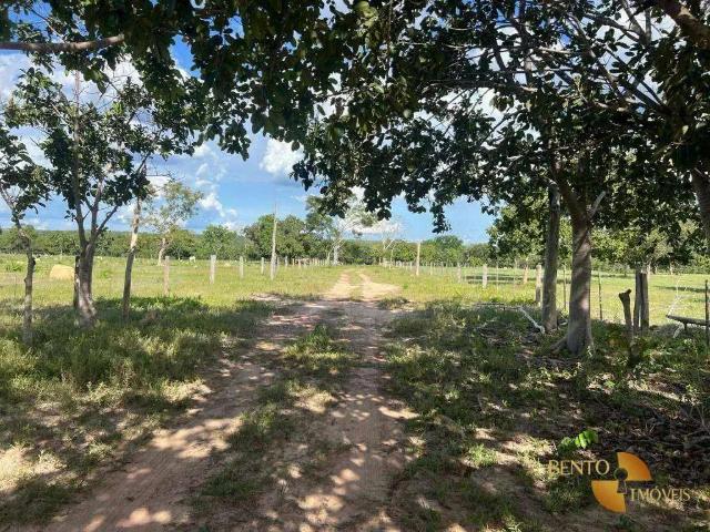 Fazenda venda em Região Geográfica Imediata de Cuiabá, Região Metropolitana do Vale do Rio Cuiabá