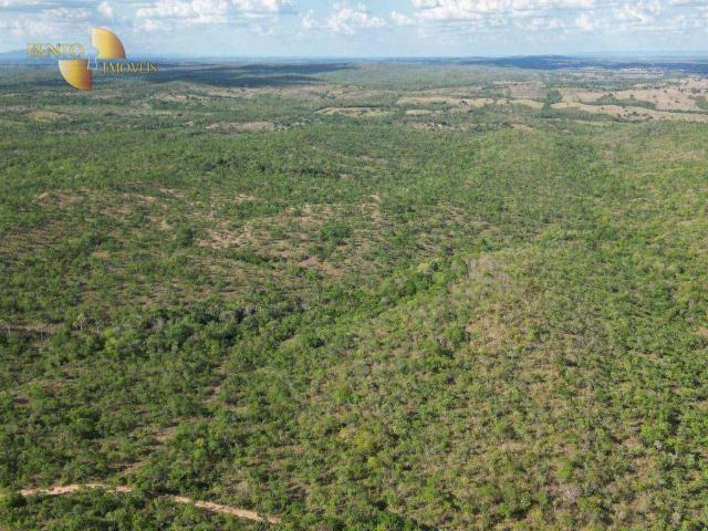 Fazenda venda em Nossa Senhora do Livramento, Região Geográfica Intermediária de Cuiabá