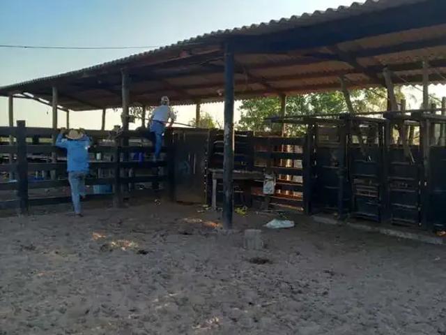 Fazenda venda em Região Geográfica Imediata de Cuiabá, Região Metropolitana do Vale do Rio Cuiabá