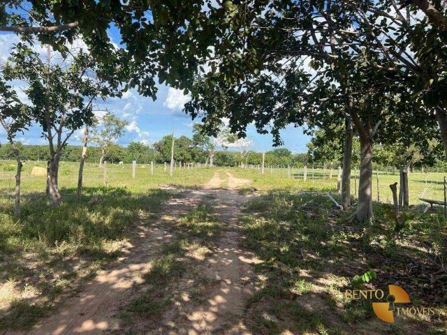 Fazenda venda em Nossa Senhora do Livramento, Região Geográfica Intermediária de Cuiabá