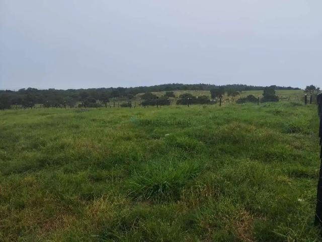 Fazenda venda em Nossa Senhora do Livramento, Região Geográfica Intermediária de Cuiabá