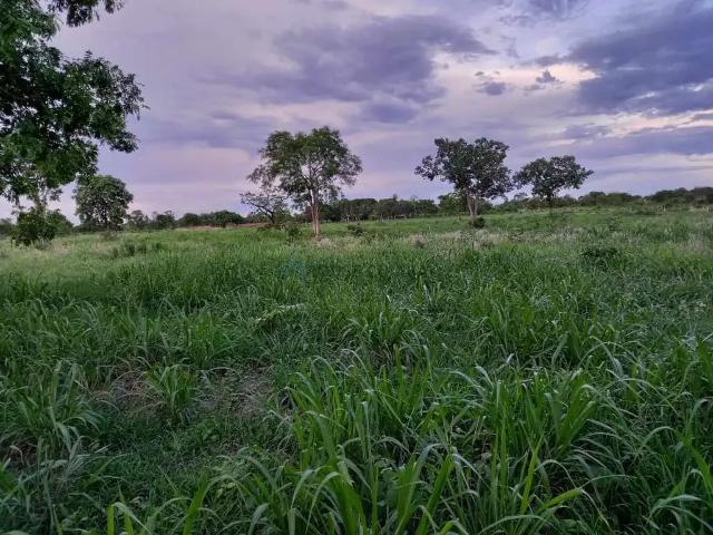 Fazenda venda em Região Geográfica Imediata de Cuiabá, Região Metropolitana do Vale do Rio Cuiabá