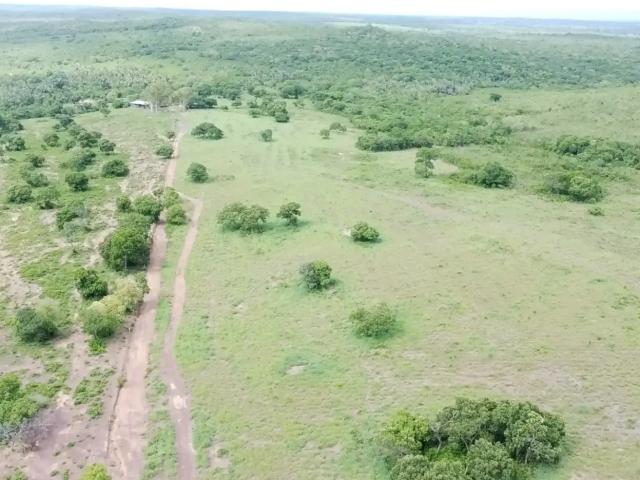 Fazenda venda em Região Geográfica Imediata de Cuiabá, Região Metropolitana do Vale do Rio Cuiabá