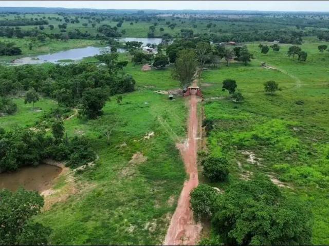 Fazenda venda em Região Geográfica Imediata de Cuiabá, Região Metropolitana do Vale do Rio Cuiabá