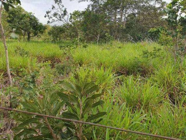 Fazenda venda em Nossa Senhora do Livramento, Região Geográfica Intermediária de Cuiabá