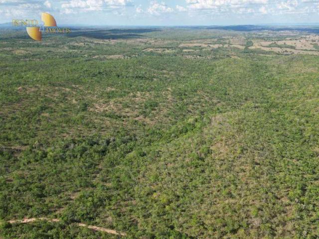 Fazenda venda em Região Geográfica Imediata de Cuiabá, Região Metropolitana do Vale do Rio Cuiabá