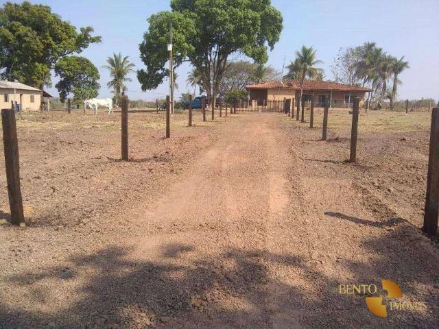 Fazenda venda em Nossa Senhora do Livramento, Região Geográfica Intermediária de Cuiabá