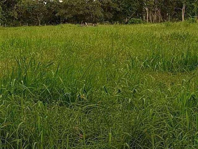 Fazenda venda em Nossa Senhora do Livramento, Região Geográfica Intermediária de Cuiabá