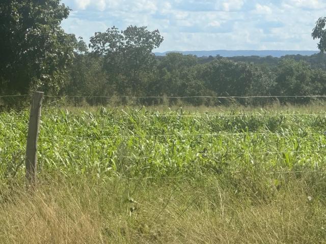 Fazenda venda em Região Geográfica Imediata de Cuiabá, Região Metropolitana do Vale do Rio Cuiabá