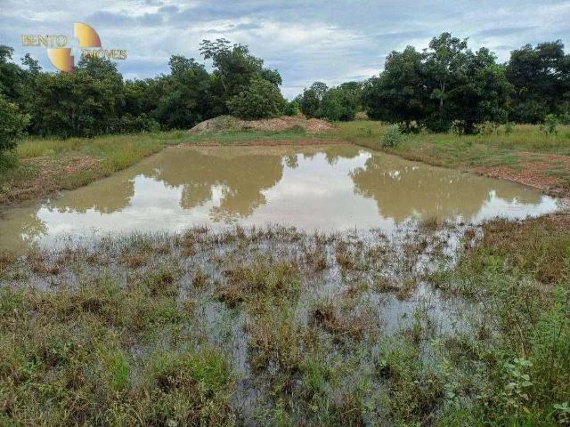 Fazenda venda em Região Geográfica Imediata de Cuiabá, Região Metropolitana do Vale do Rio Cuiabá