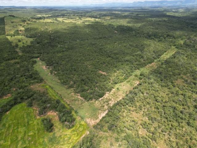 Fazenda venda em Região Geográfica Imediata de Cuiabá, Região Metropolitana do Vale do Rio Cuiabá