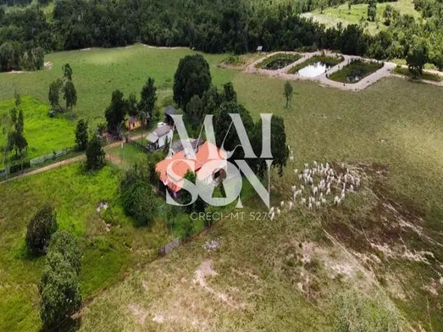 Fazenda venda em Região Geográfica Imediata de Cuiabá, Região Metropolitana do Vale do Rio Cuiabá