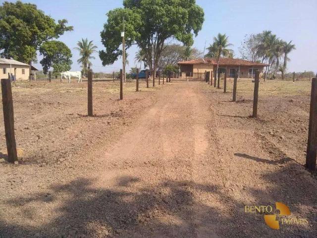 Fazenda venda em Região Geográfica Imediata de Cuiabá, Região Metropolitana do Vale do Rio Cuiabá