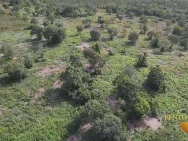 Fazenda venda em Nossa Senhora do Livramento, Região Geográfica Intermediária de Cuiabá