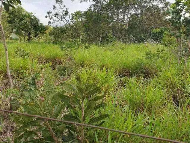 Fazenda venda em Região Geográfica Imediata de Cuiabá, Região Metropolitana do Vale do Rio Cuiabá