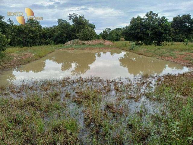 Fazenda venda em Nossa Senhora do Livramento, Região Geográfica Intermediária de Cuiabá