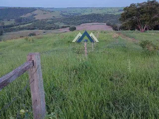 Fazenda venda em Região Geográfica Imediata de Cornélio Procópio-Bandeirantes, Nova América da Colina