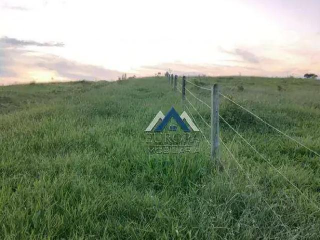 Fazenda venda em Região Geográfica Imediata de Cornélio Procópio-Bandeirantes, Nova América da Colina