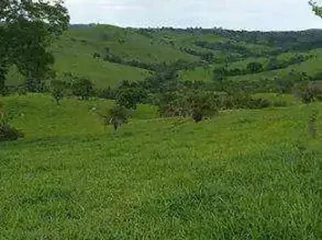 Fazenda venda em Região Geográfica Imediata de Ceres - Rialma - Goianésia, Nova América
